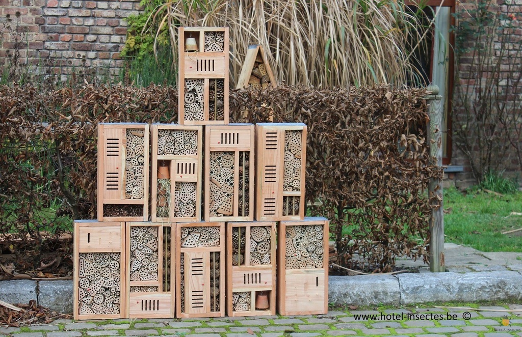 Boîte à insectes