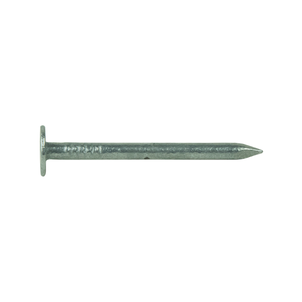 Clou shingles zingué 3x15mm
