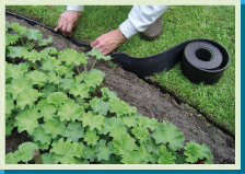 Bordure rouleau flexible (H:20 cm x L: 500cm)