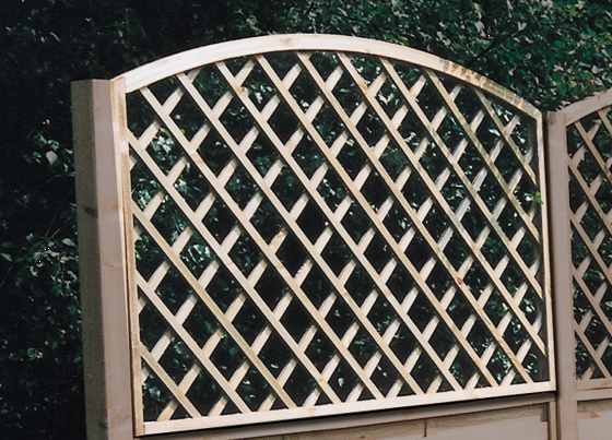 Treillis P diagonal avec arc (H: 900/1080 x L: 1800 mm)