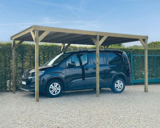 Carport 3000 x 5000 mm (S7781)