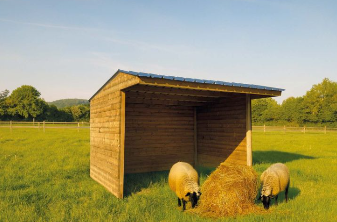 Shelter 300 x 2920 mm (imprégné)