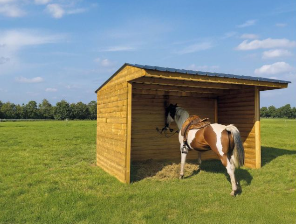 Shelter 500 x 2920 mm (imprégné)  