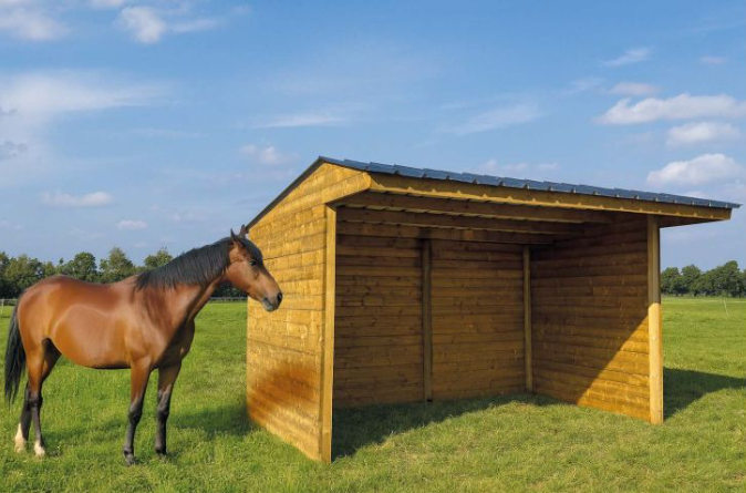 Shelter 600 x 2920 mm (imprégné)   