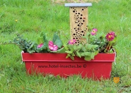 Jardinière à insectes